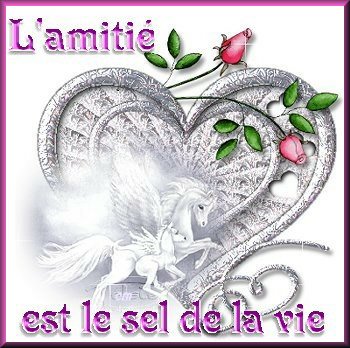 l'amite edt lt seul de la vie vrai